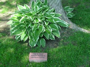 memorial brick