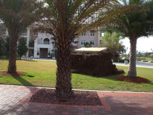 pavers