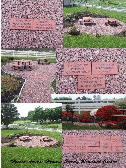 Engraved Bricks