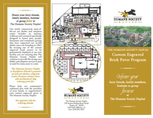 Brick & Tile Fundraising Brochure